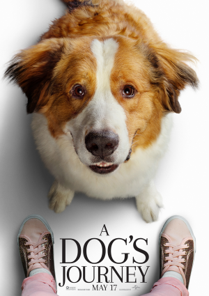 A Dog's Journey